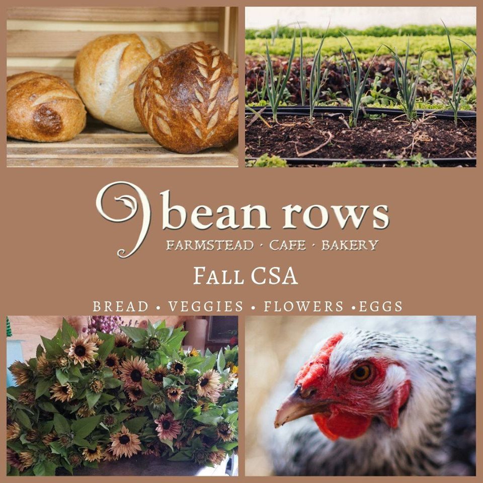 9 Bean Rows